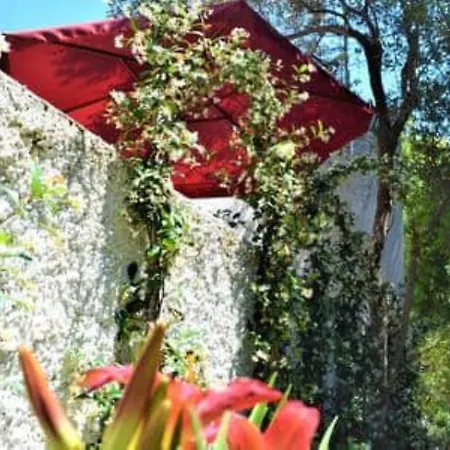 Forio Casa Villa, La Grille Du Coq 3 Il Prezzo Della E Riferito All'intero Con Il Limite Delle Persone Previste N 6 * Ischia