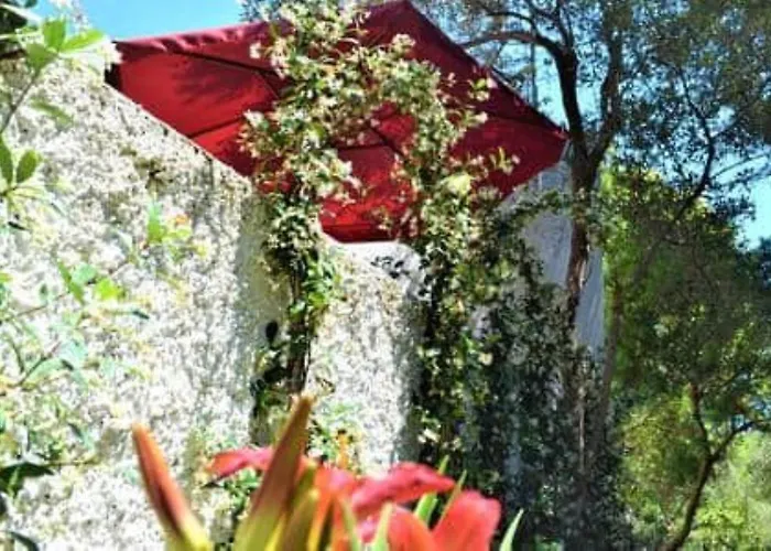 Ischia-forio-punta Caruso-la Grille Du Coq-villa 3 Il Prezzo Della E Riferito All'intero Con Il Limite Delle Persone Previste N 6 * Lacco Ameno (Isola d'Ischia)