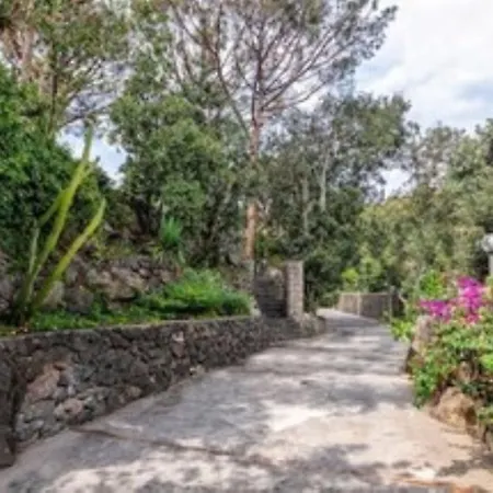 Nyaraló Forio Casa Villa, La Grille Du Coq 3 Il Prezzo Della E Riferito All'intero Con Il Limite Delle Persone Previste N 6